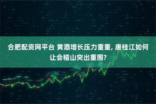 合肥配资网平台 黄酒增长压力重重, 唐桂江如何让会稽山突出重围?