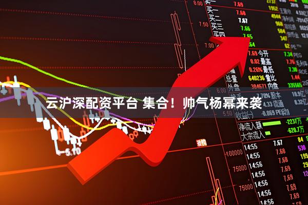 云沪深配资平台 集合！帅气杨幂来袭